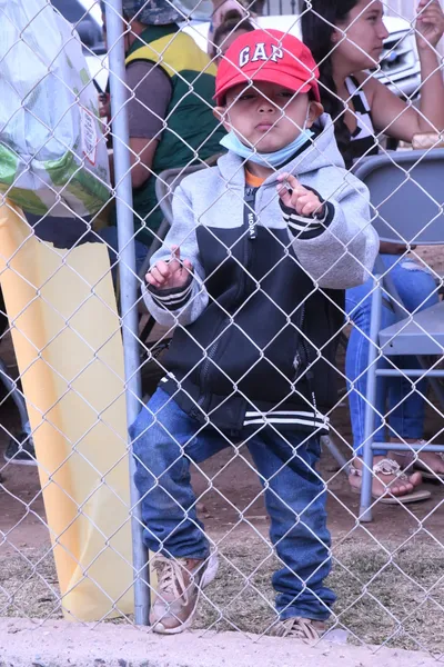 DSC_1442 (Large).JPG